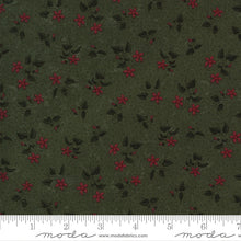 Load image into Gallery viewer, Moda - Prairie Dreams by Kansas Troubles Quilters, Green Tiny Floral
