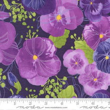 Load image into Gallery viewer, Moda - Pansys Posies by Robin Pickens, Main Amethyst

