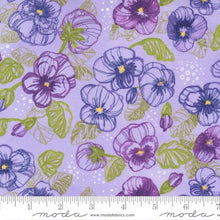 Load image into Gallery viewer, Moda - Pansys Posies by Robin Pickens, Lavender Floral
