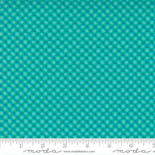 Load image into Gallery viewer, Moda - Petal Power by Me &amp; my Sister designs, Awesome Aqua checks
