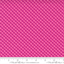 Load image into Gallery viewer, Moda - Petal Power by Me &amp; my Sister designs, Popping Pink checks
